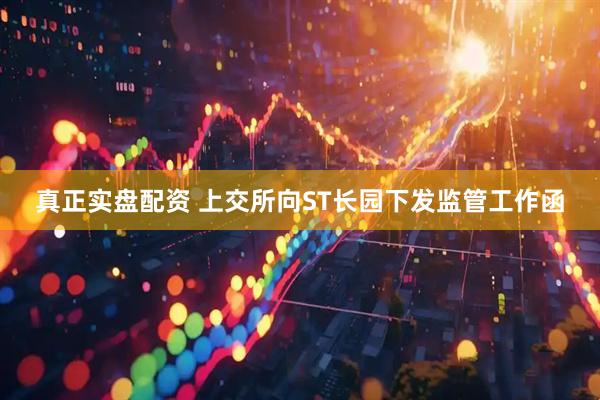 真正实盘配资 上交所向ST长园下发监管工作函