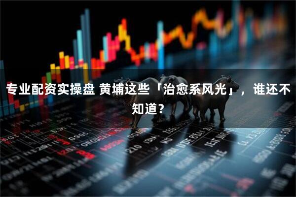专业配资实操盘 黄埔这些「治愈系风光」，谁还不知道？