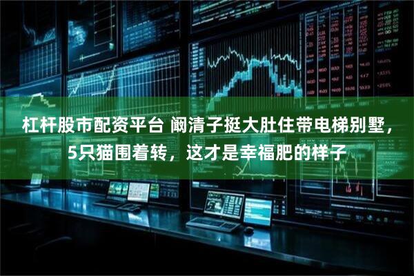 杠杆股市配资平台 阚清子挺大肚住带电梯别墅,5只猫围着转,这才是幸福肥的样子